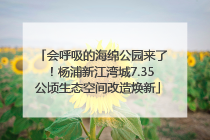会呼吸的海绵公园来了！杨浦新江湾城7.35公顷生态空间改造焕新