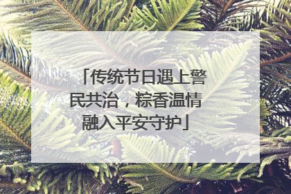 传统节日遇上警民共治，粽香温情融入平安守护