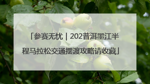 参赛无忧｜202普洱墨江半程马拉松交通摆渡攻略请收藏