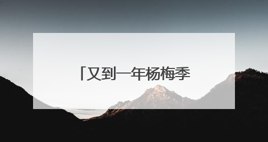 又到一年杨梅季！浙江杨梅赴沪参加世界级食品展