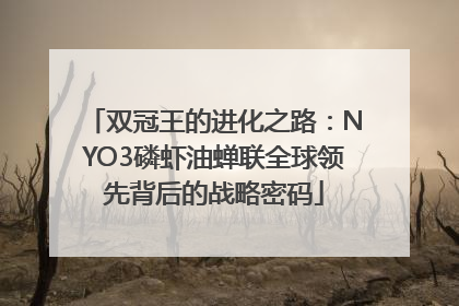 双冠王的进化之路：NYO3磷虾油蝉联全球领先背后的战略密码