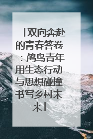 双向奔赴的青春答卷：鸬鸟青年用生态行动与思想碰撞书写乡村未来