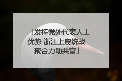 发挥党外代表人士优势 浙江上虞统战聚合力助共富