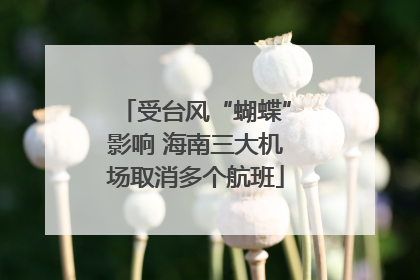 受台风“蝴蝶”影响 海南三大机场取消多个航班