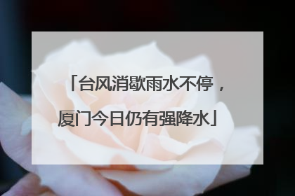 台风消歇雨水不停，厦门今日仍有强降水