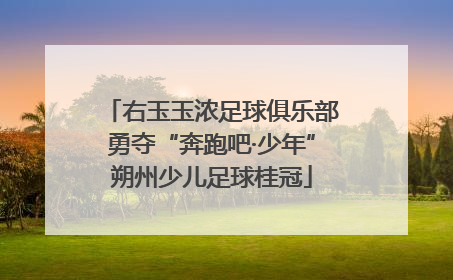 右玉玉浓足球俱乐部勇夺“奔跑吧·少年”朔州少儿足球桂冠