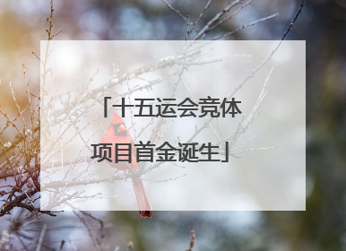 十五运会竞体项目首金诞生