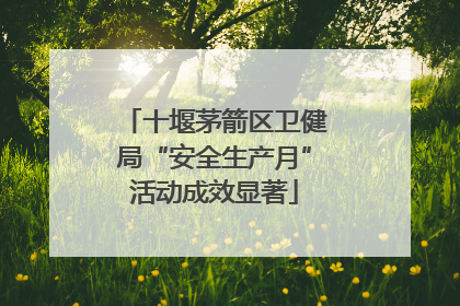 十堰茅箭区卫健局“安全生产月”活动成效显著