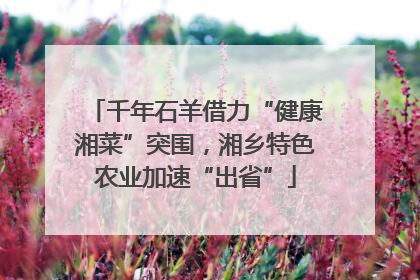 千年石羊借力“健康湘菜”突围，湘乡特色农业加速“出省”