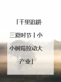 千里追耕·三夏时节丨小小树莓拉动大产业