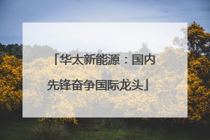 华太新能源：国内先锋奋争国际龙头
