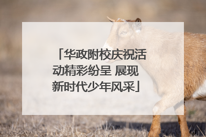 华政附校庆祝活动精彩纷呈 展现新时代少年风采