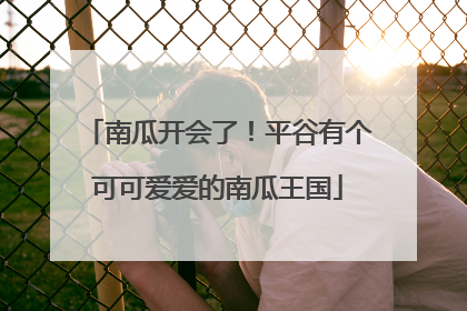 南瓜开会了！平谷有个可可爱爱的南瓜王国