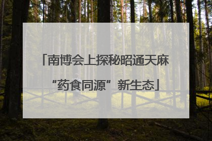 南博会上探秘昭通天麻“药食同源”新生态