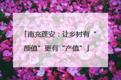 南充蓬安：让乡村有“颜值”更有“产值”