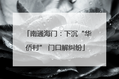 南通海门：下沉“华侨村” 门口解纠纷