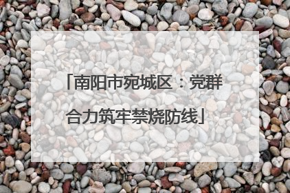 南阳市宛城区：党群合力筑牢禁烧防线