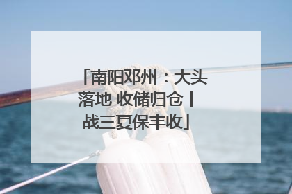 南阳邓州：大头落地 收储归仓丨战三夏保丰收
