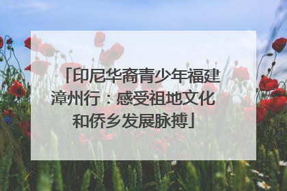 印尼华裔青少年福建漳州行：感受祖地文化和侨乡发展脉搏