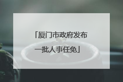 厦门市政府发布一批人事任免