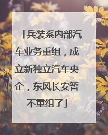兵装系内部汽车业务重组，成立新独立汽车央企，东风长安暂不重组了