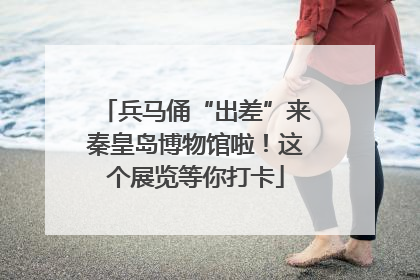 兵马俑“出差”来秦皇岛博物馆啦！这个展览等你打卡