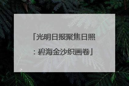 光明日报聚焦日照：碧海金沙织画卷