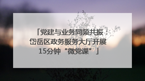 党建与业务同频共振：岱岳区政务服务大厅开展15分钟“微党课”