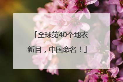 全球第40个地衣新目，中国命名！