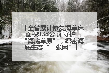 全省累计修复海草床面积938公顷 守护“海底草原”，织密海底生态“一张网”