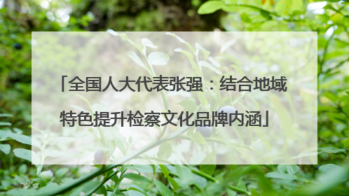 全国人大代表张强：结合地域特色提升检察文化品牌内涵