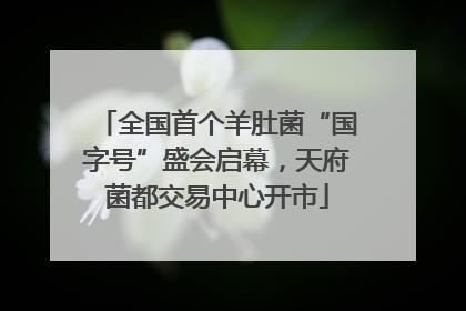 全国首个羊肚菌“国字号”盛会启幕，天府菌都交易中心开市