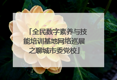 全民数字素养与技能培训基地网络巡展之聊城市委党校