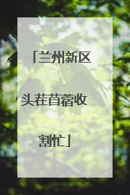 兰州新区头茬苜蓿收割忙