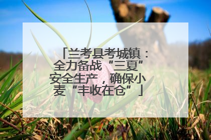 兰考县考城镇：全力备战“三夏”安全生产，确保小麦“丰收在仓”