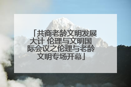 共商老龄文明发展大计 伦理与文明国际会议之伦理与老龄文明专场开幕
