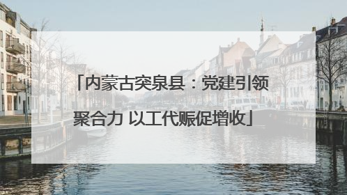 内蒙古突泉县：党建引领聚合力 以工代赈促增收