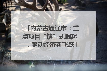 内蒙古通辽市：重点项目“链”式崛起，驱动经济新飞跃