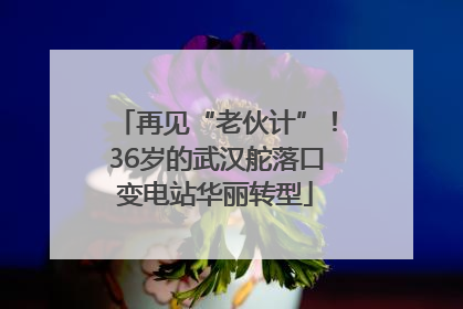 再见“老伙计”！36岁的武汉舵落口变电站华丽转型