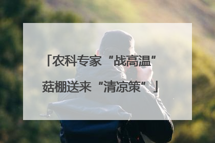 农科专家“战高温” 菇棚送来“清凉策”