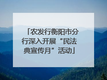农发行衡阳市分行深入开展“民法典宣传月”活动