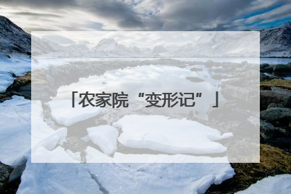 农家院“变形记”