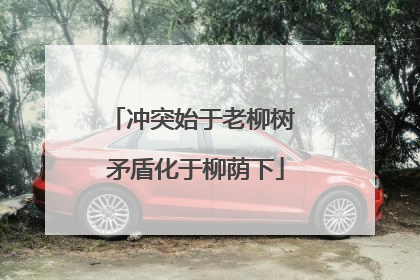 冲突始于老柳树 矛盾化于柳荫下