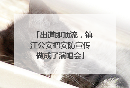 出道即顶流，镇江公安把安防宣传做成了演唱会