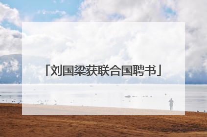 刘国梁获联合国聘书