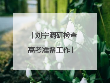 刘宁调研检查高考准备工作
