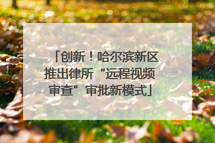 创新！哈尔滨新区推出律所“远程视频审查”审批新模式