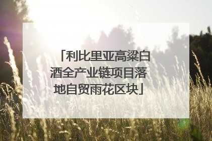 利比里亚高粱白酒全产业链项目落地自贸雨花区块