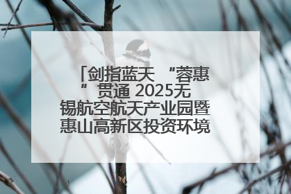 剑指蓝天 “蓉惠”贯通 2025无锡航空航天产业园暨惠山高新区投资环境推介会在成都举行