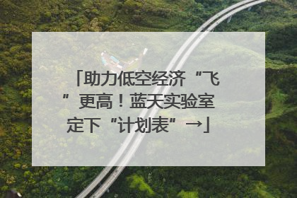 助力低空经济“飞”更高！蓝天实验室定下“计划表”→